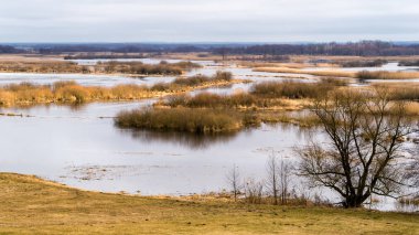 Biebrzanski Park Narodowy 'de. Wiosenne rozlewiska Biebrzy
