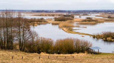 Biebrzanski Park Narodowy 'de. Wiosenne rozlewiska Biebrzy