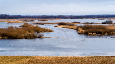 Biebrzanski Park Narodowy 'de. Wiosna nad Biebrza. Rozlewiska Biebrzy
