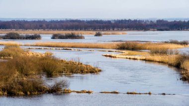 Biebrzanski Park Narodowy 'de. Wiosna nad Biebrza. Rozlewiska Biebrzy
