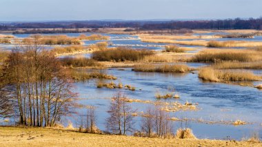 Biebrzanski Park Narodowy 'de. Wiosna nad Biebrza. Rozlewiska Biebrzy