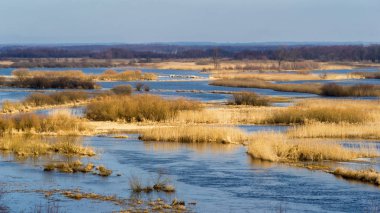 Biebrzanski Park Narodowy 'de. Wiosna nad Biebrza. Rozlewiska Biebrzy
