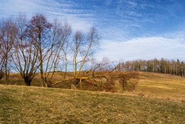 Biebrzanski Park Narodowy 'de. Wiosna nad Biebrza. Rozlewiska Biebrzy