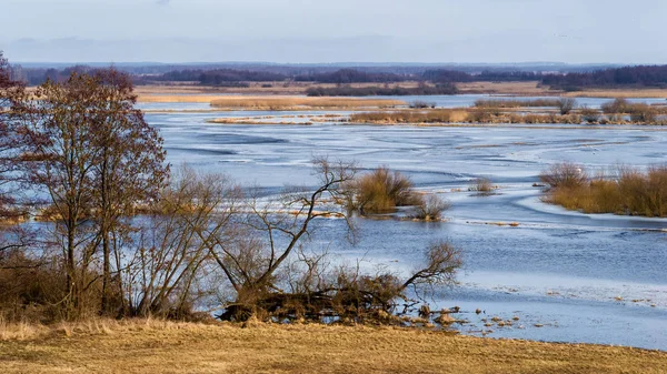 Biebrzanski Park Narodowy 'de. Wiosna nad Biebrza. Rozlewiska Biebrzy