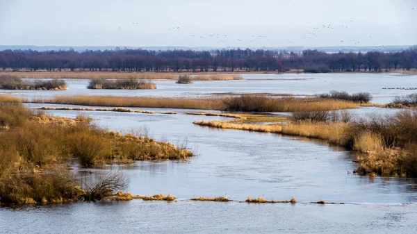 Biebrzanski Park Narodowy 'de. Wiosna nad Biebrza. Rozlewiska Biebrzy