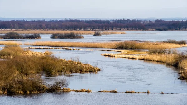 Biebrzanski Park Narodowy 'de. Wiosna nad Biebrza. Rozlewiska Biebrzy