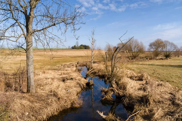 Biebrzanski Park Narodowy Wiosna Nad Biebrza Rozlewiska Biebrzy — Stok fotoğraf