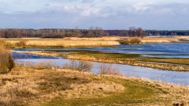 Ben Narwi 'yi istiyorum. Wiosenne rozlewiska Narwi, Podlasie, Polska