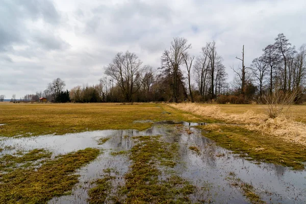 Wiosna Dolinie Narwi Wiosenne Rozlewiska Narwi Podlasie Polska — Stock fotografie