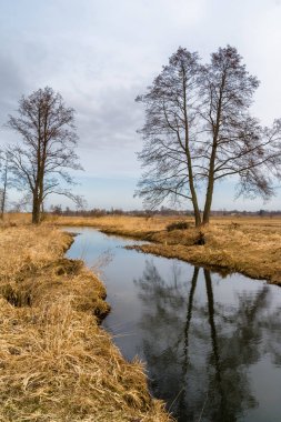 Dolina Gornej Narwi. Wiosna nad Narwia. Natura 2000