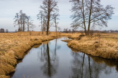 Dolina Gornej Narwi. Wiosna nad Narwia. Natura 2000