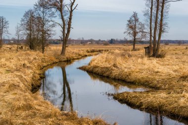 Dolina Gornej Narwi. Wiosna nad Narwia. Natura 2000