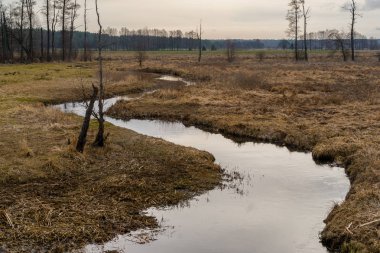 Dolina Gornej Narwi. Wiosna nad Narwia. Natura 2000