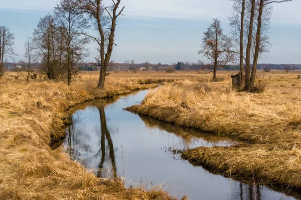 Dolina Gornej Narwi Wiosna Nad Narwia Natura 2000 — Photo