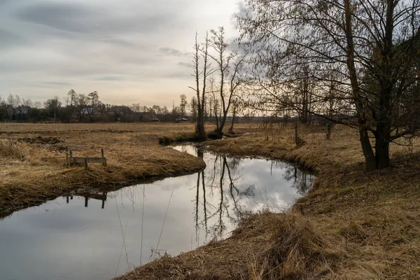 Dolina Gornej Narwi Wiosna Nad Narwią Natura 2000 — Zdjęcie stockowe