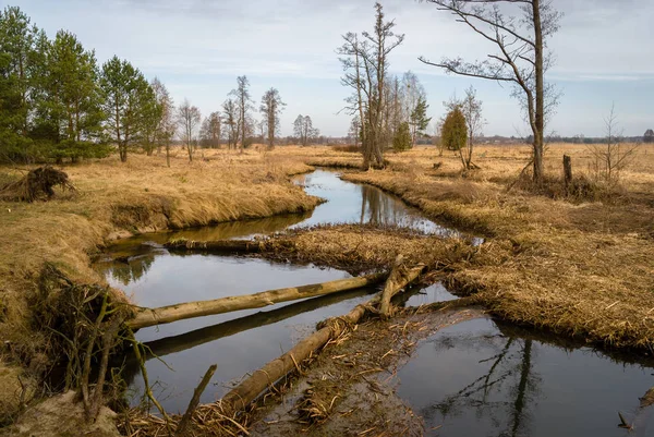 Dolina Gornej Narwi. Wiosna nad Narwia. Natura 2000