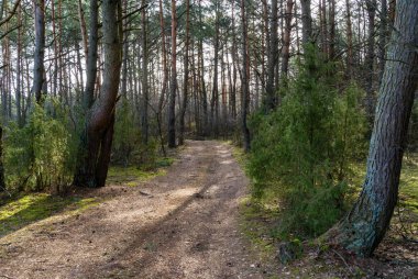 Wiosna nad Narwia. Dolina Gornej Narwi. Natura 2000