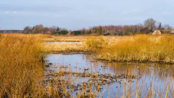 Wiosna Nad Narwia Dolina Gornej Narwi Natura 2000 — 图库照片