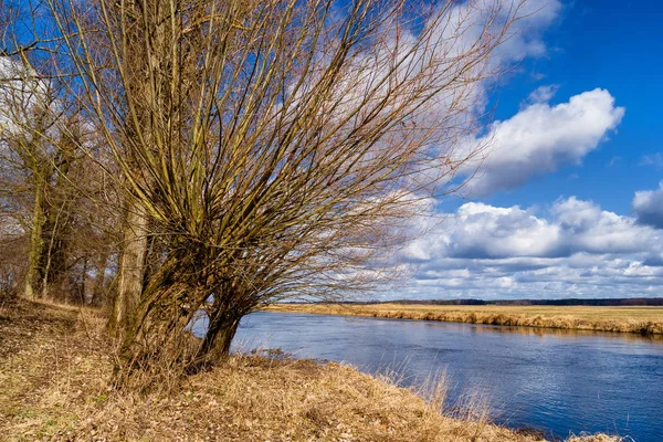 Wiosna Podlasiu Dolina Rzeki Narwi Suprasli Rzeki Podlasia — Zdjęcie stockowe