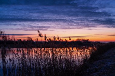 Poranek Nad Stawami. Stawy Dojlidzkie. Wiosna na na Podlasiu