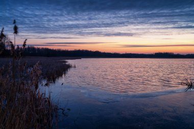 Poranek Nad Stawami. Stawy Dojlidzkie. Wiosna na na Podlasiu