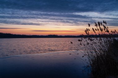 Poranek Nad Stawami. Stawy Dojlidzkie. Wiosna na na Podlasiu
