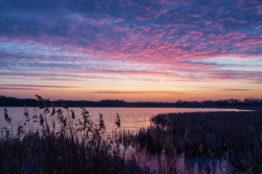 Poranek Nad Stawami. Stawy Dojlidzkie. Wiosna na na Podlasiu