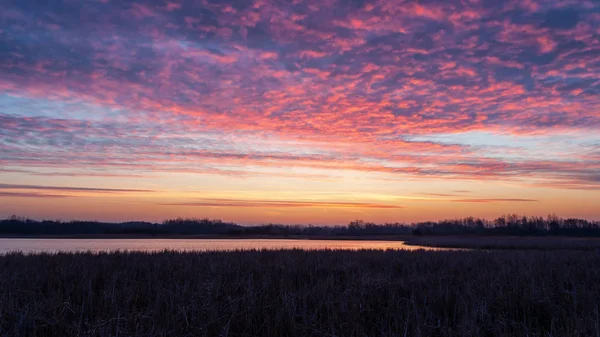 Poranek Nad Stawami Stawy Dojlidzkie Wiosna Podlasiu — Stock Photo, Image