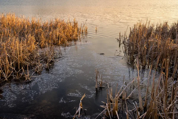 Poranek Nad Stawami Stawy Dojlidzkie Wiosna Podlasiu — Photo