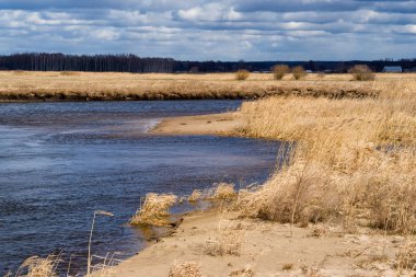 Rzeka Narew. Wiosna na Podlasiu. Piekno Podlasia
