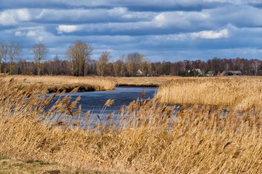 Rzeka Narew. Wiosna na Podlasiu. Piekno Podlasia