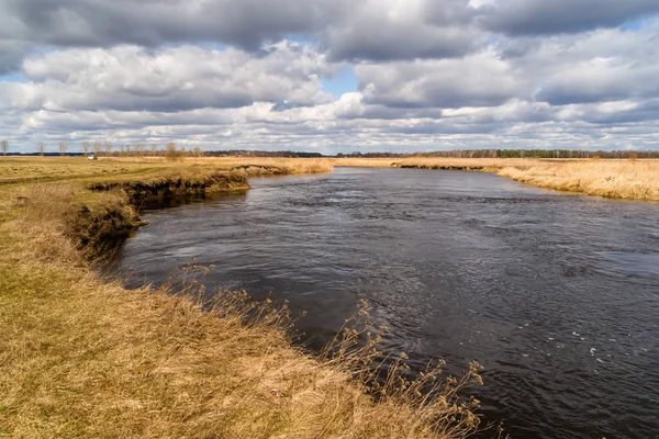 Rzeka Narew Wiosna Podlasiu Piekno Podlasia — Stock fotografie