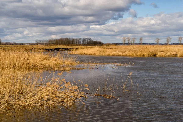 Река Нареу Wiosna Podlasiu Piekno Podlasia — стокове фото