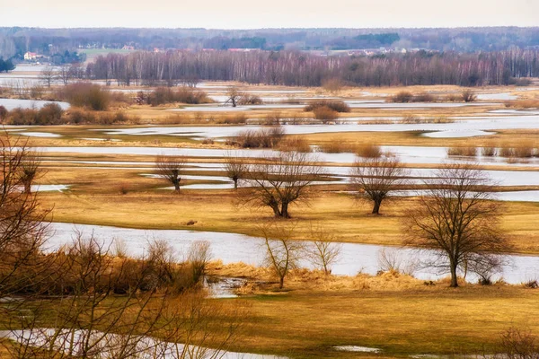 Wiosenne Rozlewiska Narwi Strekowa Gora Wiosna Podlasiu — Photo