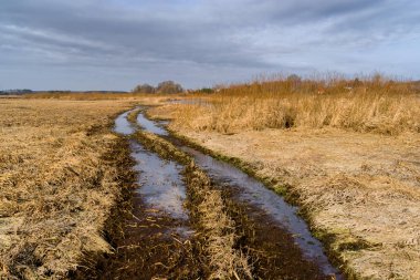 Dolina Gornej Narwi. Natura 2000. Wiosna na Podlasiu