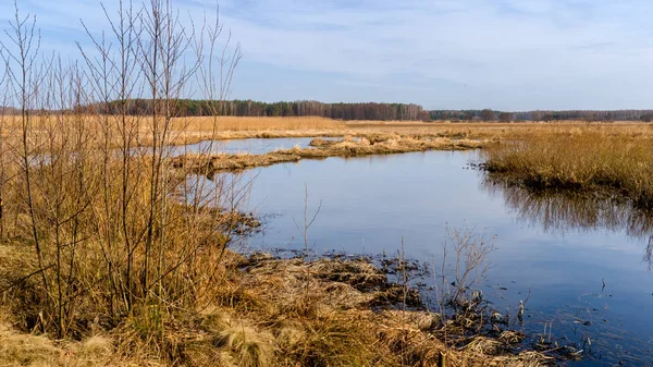 Dolina Gornej Narwi Natura 2000 Wiosna Podlasiu — Photo