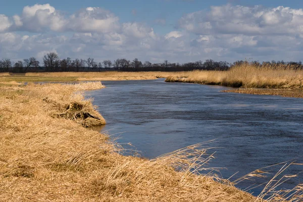Rzeka Narew Wiosna Podlasiu Park Narodowy Narwi — 스톡 사진