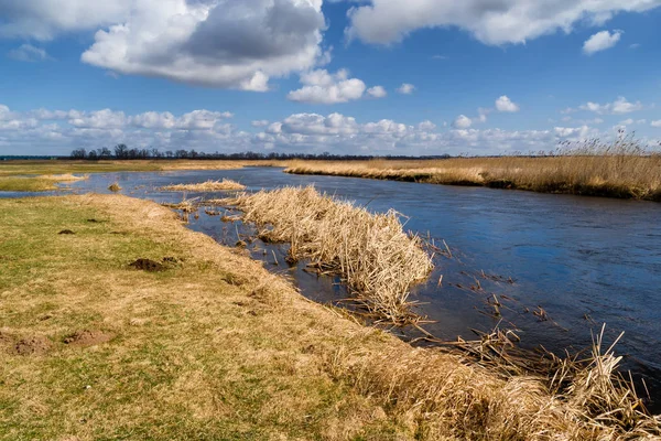 Rzeka Narew Wiosna Podlasiu Park Narodowy Narwi — Stock fotografie