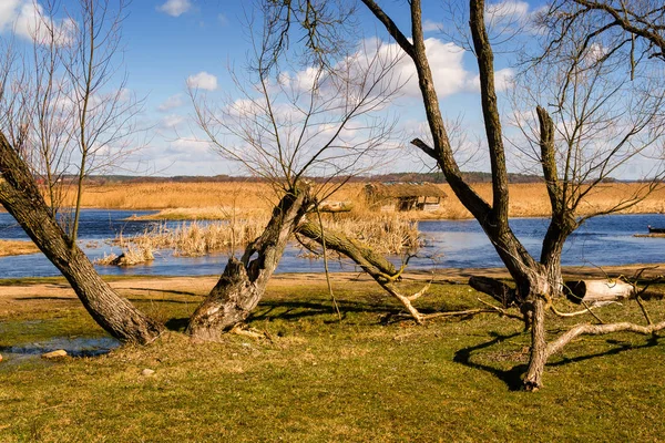 Rzeka Narew Przeprawa Przez Rzeke Waniewie Rozlewiska Narwi — Photo