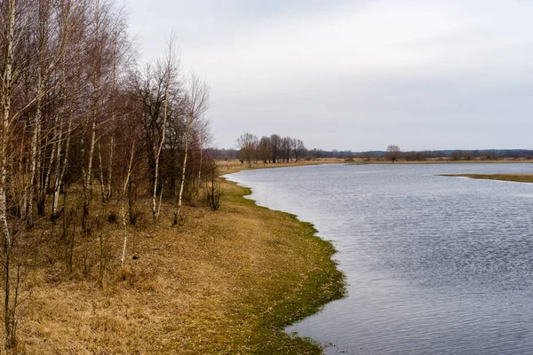 Rozlewiska Narwi Biebrzy Wiosna Podlasiu — Foto de Stock