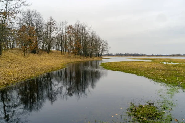 Rozlewiska Narwi Biebrzy Wiosna Podlasiu — Photo