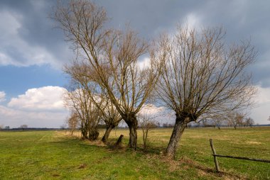 Krajobraz wiejski Podlasia. Wiosna na Podlasiu