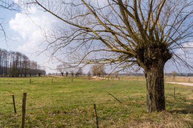 Wiosna na Podlasiu. Krajobraz wiejski Podlasia. Dolina Narwi