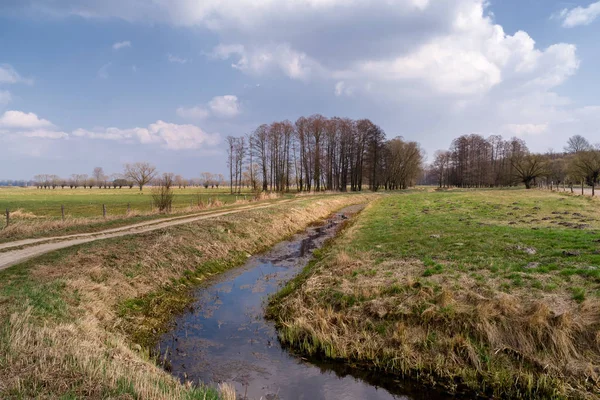 Wiosna Podlasiu Krajobraz Wiejski Podlasia Dolina Narwi — Photo