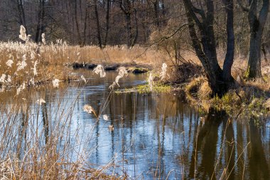 Arka planda nehir ve göl olan güzel bir manzara.