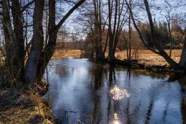 Ormandaki güzel nehir