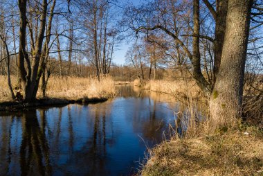 nehir üzerinde güzel göl.