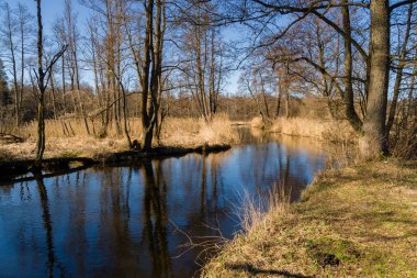 Nehir ve ağaçlarla dolu güzel bir manzara