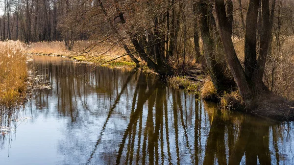 Piękny Krajobraz Rzeką Jeziorem Tle — Zdjęcie stockowe
