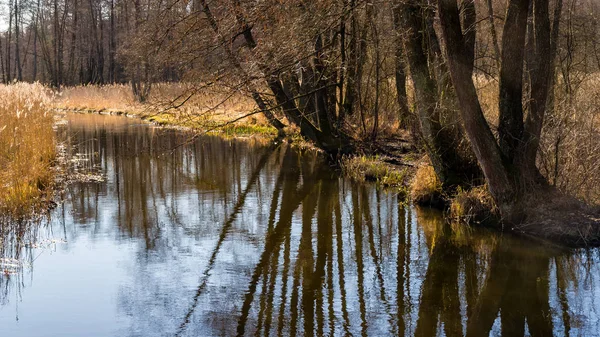 Arka Planda Nehir Göl Olan Güzel Bir Manzara — Stok fotoğraf